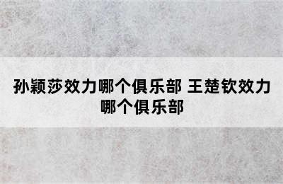 孙颖莎效力哪个俱乐部 王楚钦效力哪个俱乐部